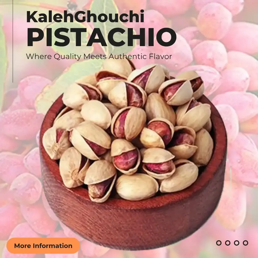 Premium Iranian Kalleh Ghouchi Pistachios – Luxury grade, supplied by Apageco Global Trading