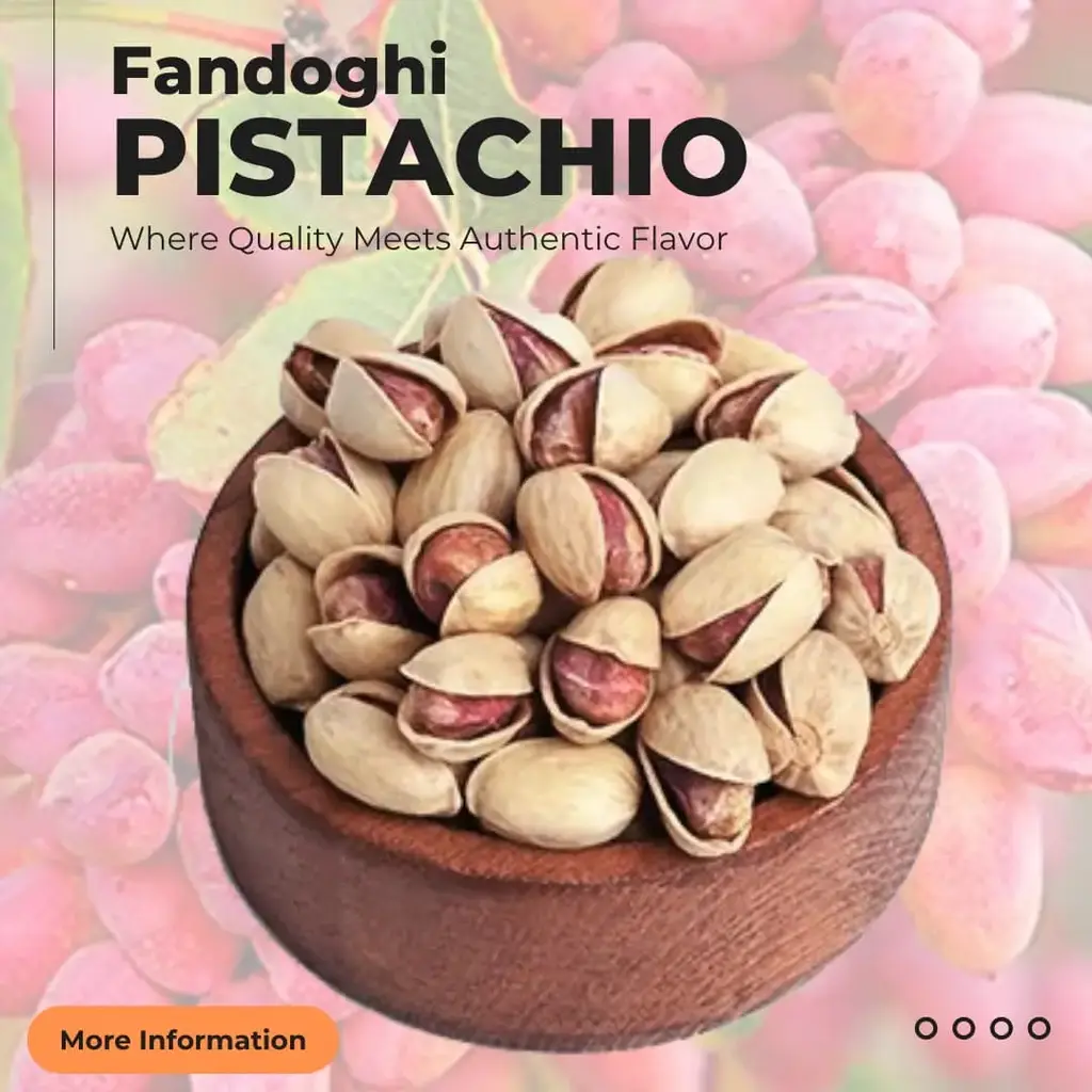 Premium Iranian Fandoghi Pistachios – Luxury grade, supplied by Apageco Global Trading